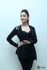 Tamannaah at Bengal Tiger Movie Audio Launch